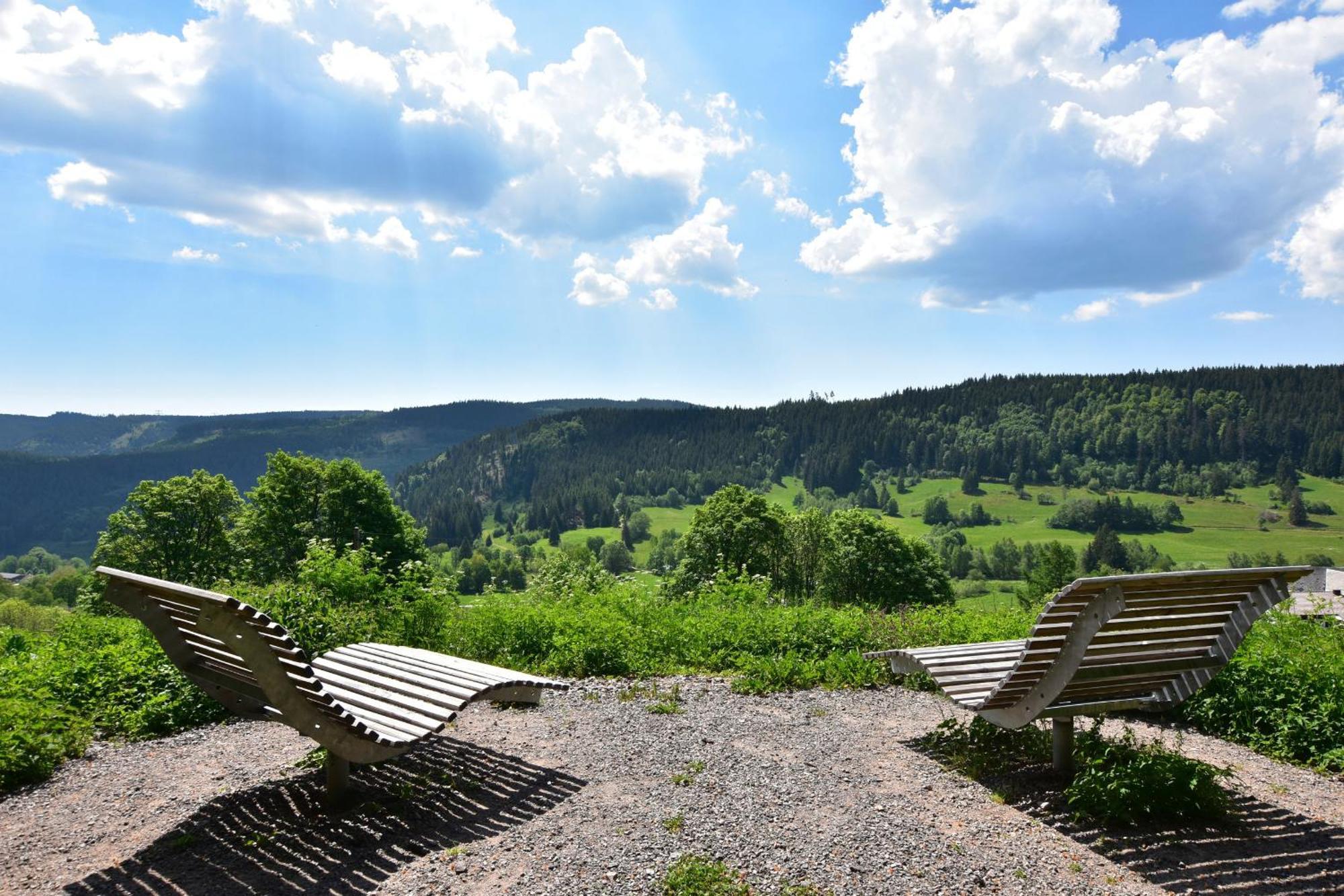 Schwarzwaldhaus Krebs - Villa Kunterbunt, Lenzkirch, Feldberg Exteriör bild